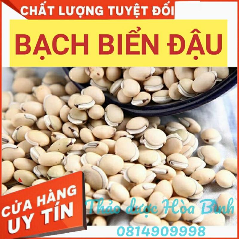 Bạch biển đậu - bột bạch biển đậu - 500g - hàng chuẩn, mới, sạch, khô