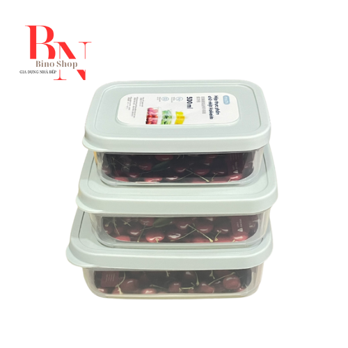 Hộp nhựa hcn đựng thực phẩm nhiều size hokkaido dùng trong lò vi sóng