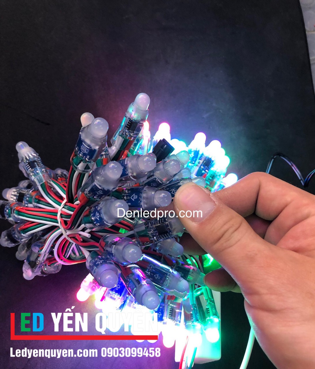 Led F8 Full Đúc IC1903 bó 50 led