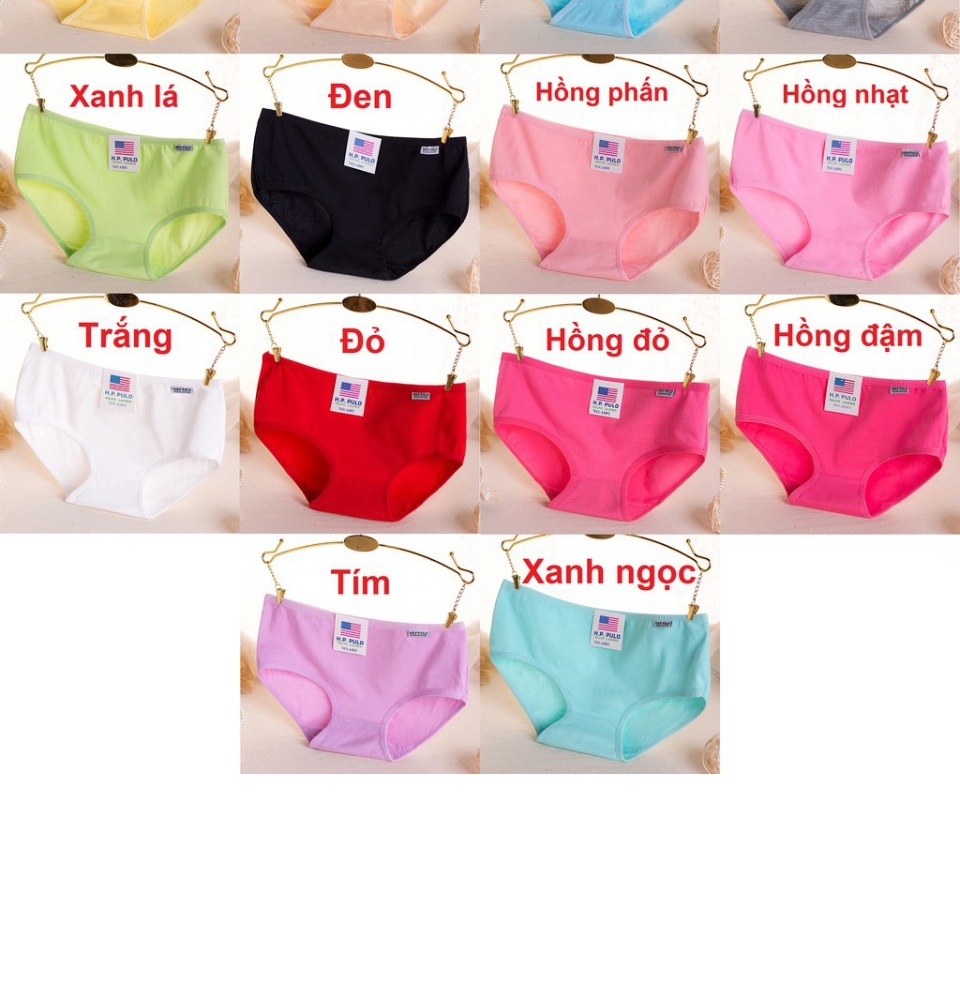 Combo 5 quần lót cotton nữ pulo hàng xuất mỹ mềm mịn