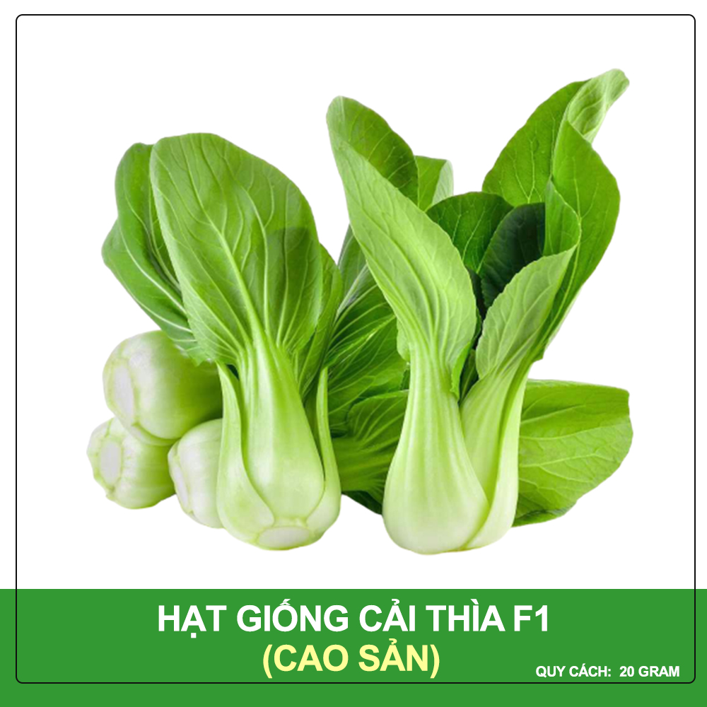 Hạt giống cải thìa phú nông gói 20 gram