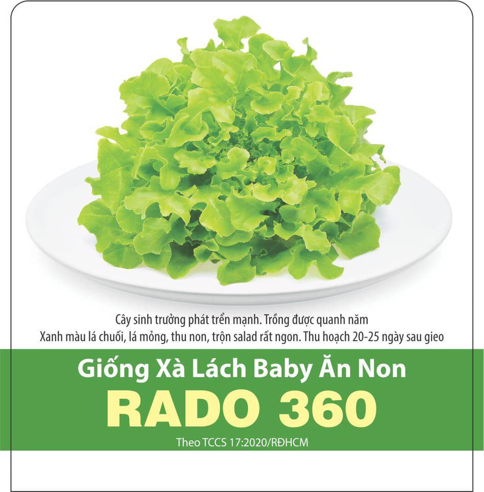 Hạt giống xà lách baby ăn non 10gr