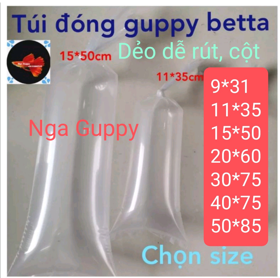 1 kg túi đóng cá Guppy, betta  - Nga Guppy - 9 size - 4
