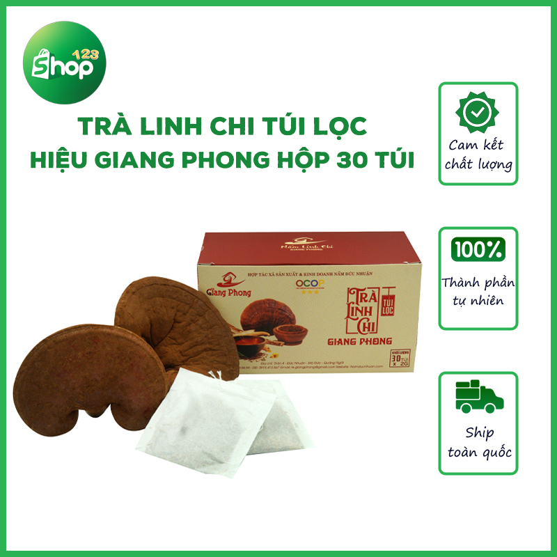 Trà thảo mộc nấm linh chi túi lọc giang phong - trà túi lọc hộp 30 túi x 2gram