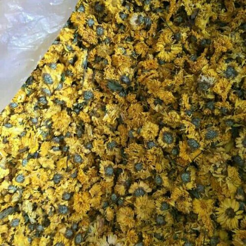 1kg trà hoa cúc vàng khô ll244