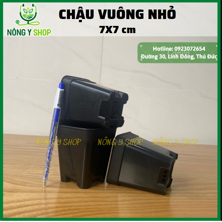 Size 7-8, chậu vuông, chậu vuông đen, chậu sen đá, xương rồng, chậu ươm cây