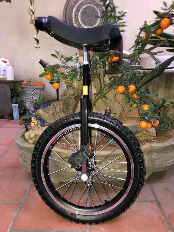 Xe đạp 1 bánh 20 inch - màu đen ( Unicycle )
