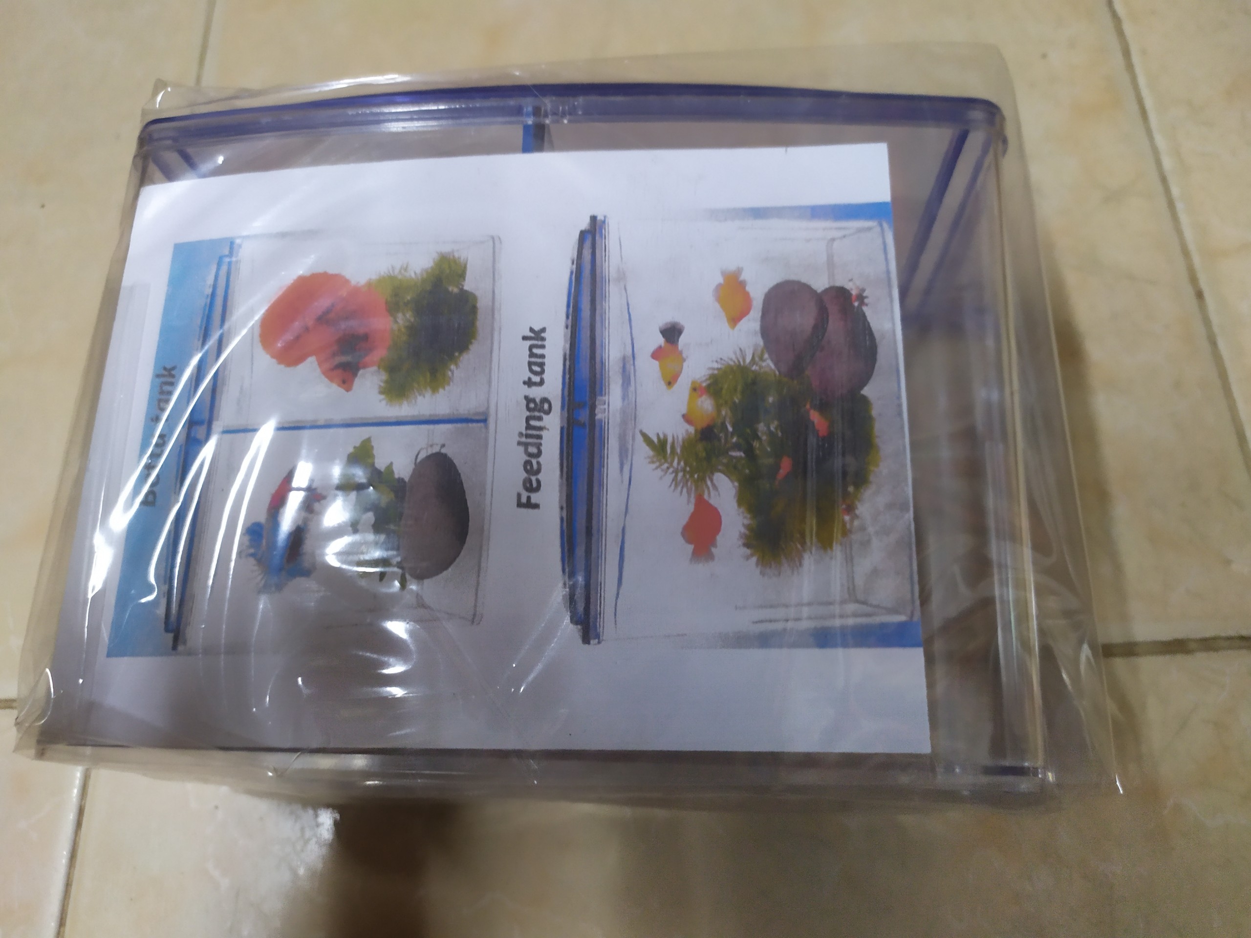 Hồ cá betta 2 ngăn bằng nhựa
