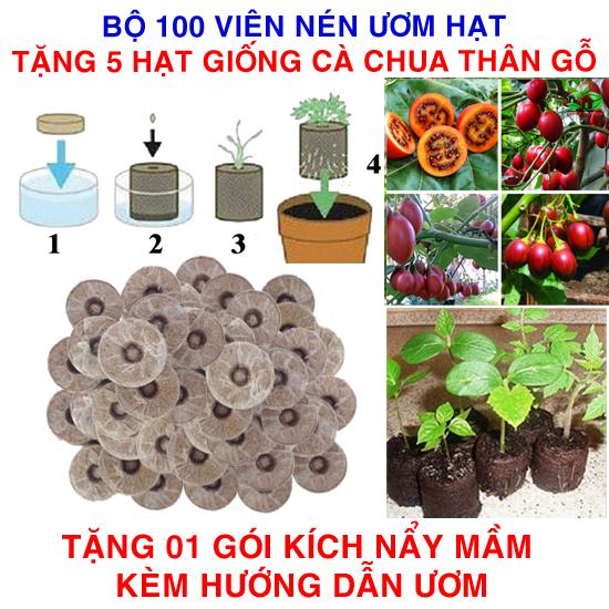 Bộ 100 viên nén ươm hạt (tặng 5 Hạt giống Cà chua thân gỗ + Kích thích nẩy mầm, Hướng dẫn)