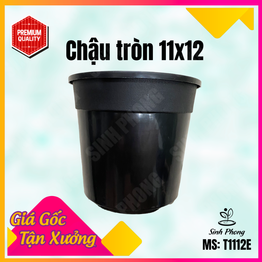 Chậu nhựa tròn đen 11x12 combo 50 cái