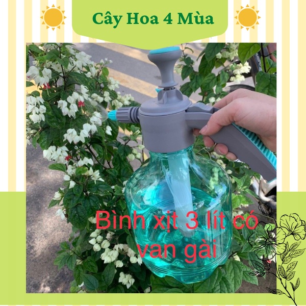 Bình xịt nước tưới cây cao cấp 2 lít và 3 lít có van gài tự động