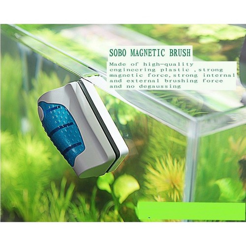 Nam châm vệ sinh hồ cá cảnh thủy sinh, bể cá cảnh mini