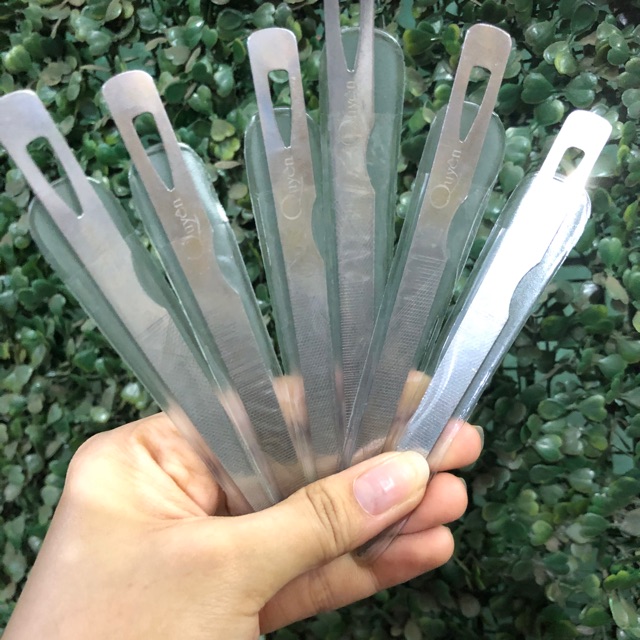Cây lấy khoé Quyên