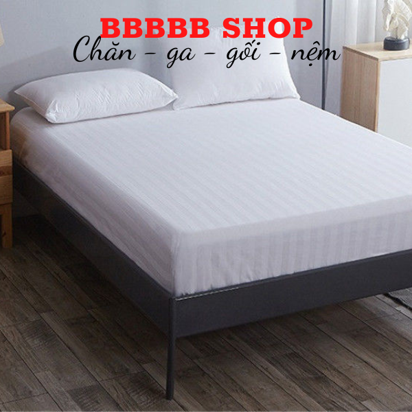 [SIÊU TỐC] Ga- Drap Cotton Khách Sạn RIOTEX Trắng Sọc T300 1m/m2/m4/m6/m8