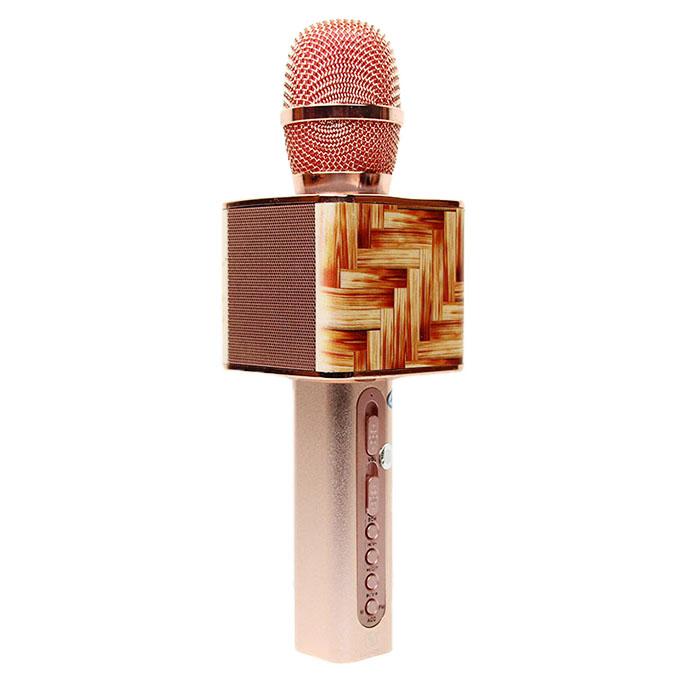 Micro karaoke ys-11f