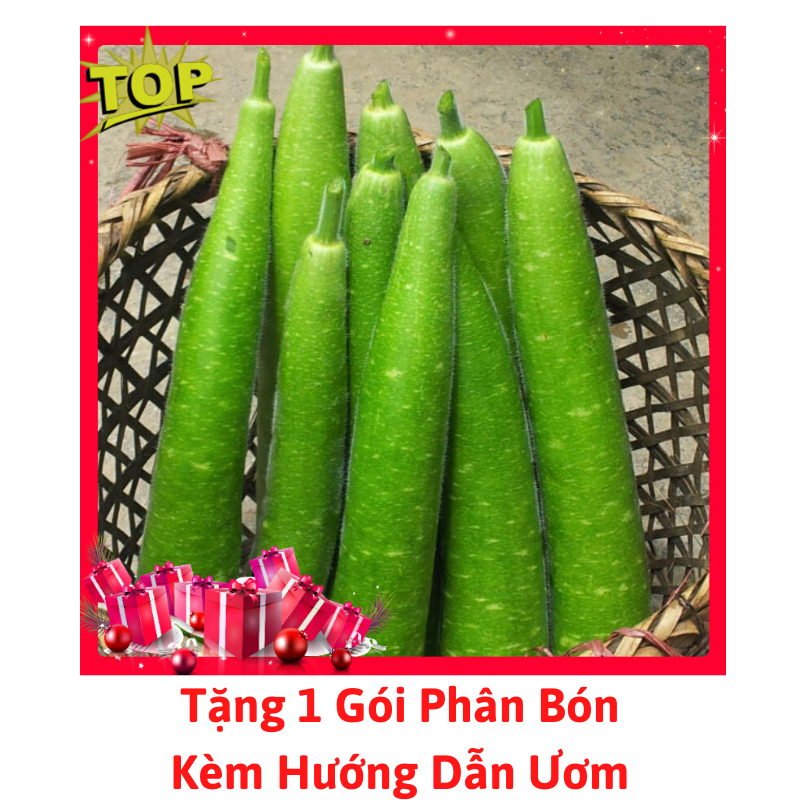 [Lấy mã giảm thêm 30%] Gói Hạt Giống Bầu Sao Dài