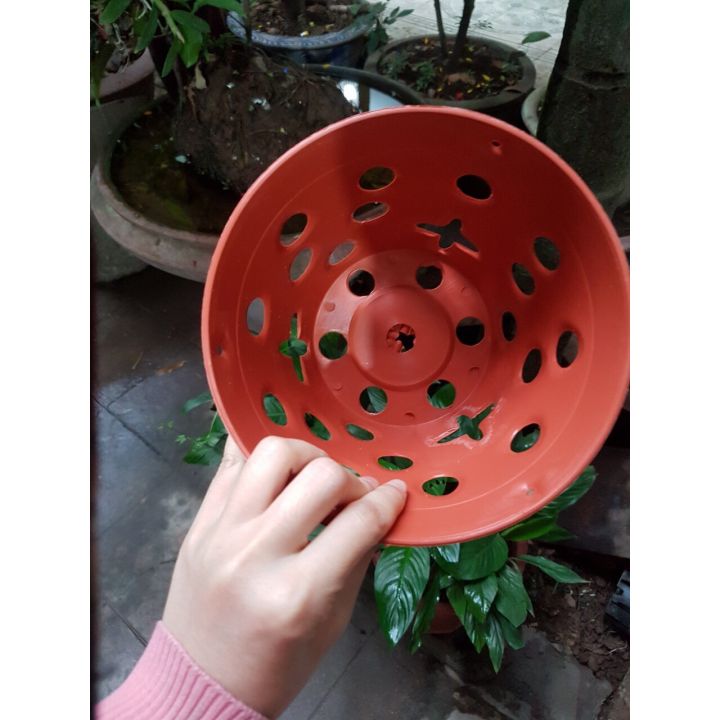 5 Chậu nhựa giả gốm loại fi 17