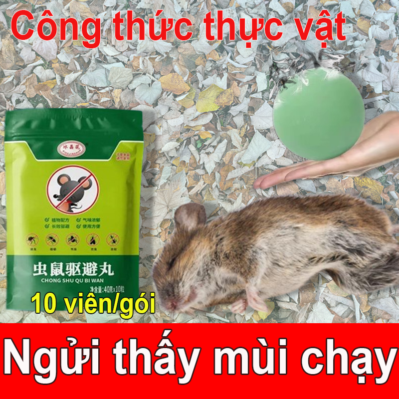  👽Gián Chuột Khắc Tinh👽Thuốc đuổi chuột đuổi chuột vĩnh viễn thuốc chuột 10 viên Xua đuổi chuột đi 24 giờ Phụ nữ mang thai Đứa bé,Sử dụng an toàn Thành phần thực vật Trong nhà trong xe generic đuổi chuột 