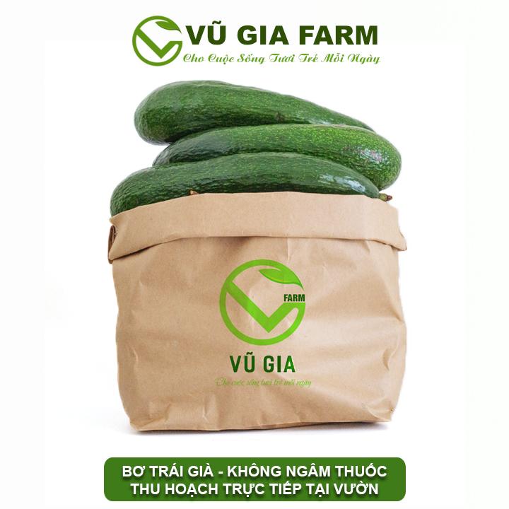 [HOẢ TỐC HCM] COMBO Bơ 034 Size 4-5-6 trái/kg Tây Nguyên Vũ Gia Farm - bơ sạch nhà trồng, thu hoạch trực tiếp tại vườn, cơm vàng sáp dẻo ngon lắm ạ