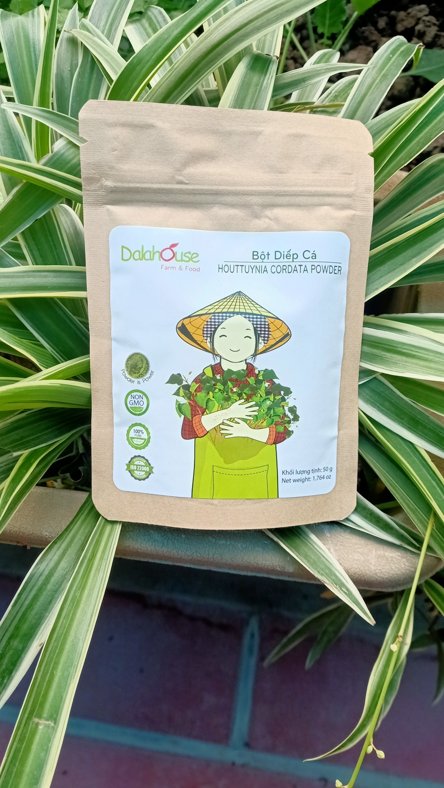 Bột diếp cá hữu cơ sấy lạnh Dalahouse 50gr - Hỗ trợ tiêu hóa, bệnh trĩ, thanh nhiệt, giải độc