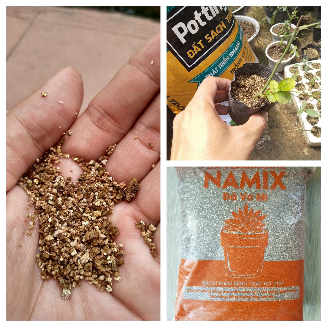 Đá vơ -mi vermiculite Namix 5dm3 trồng xương rồng sen đá|Minh Hân Garden