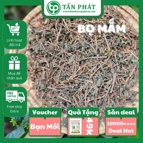 Cây thuốc dòi khô 500g Tấn Phát ( Hàng Tự Nhiên Loại 1 ) Nấu nước thanh nhiệt Trừ ho Tiêu viêm họng