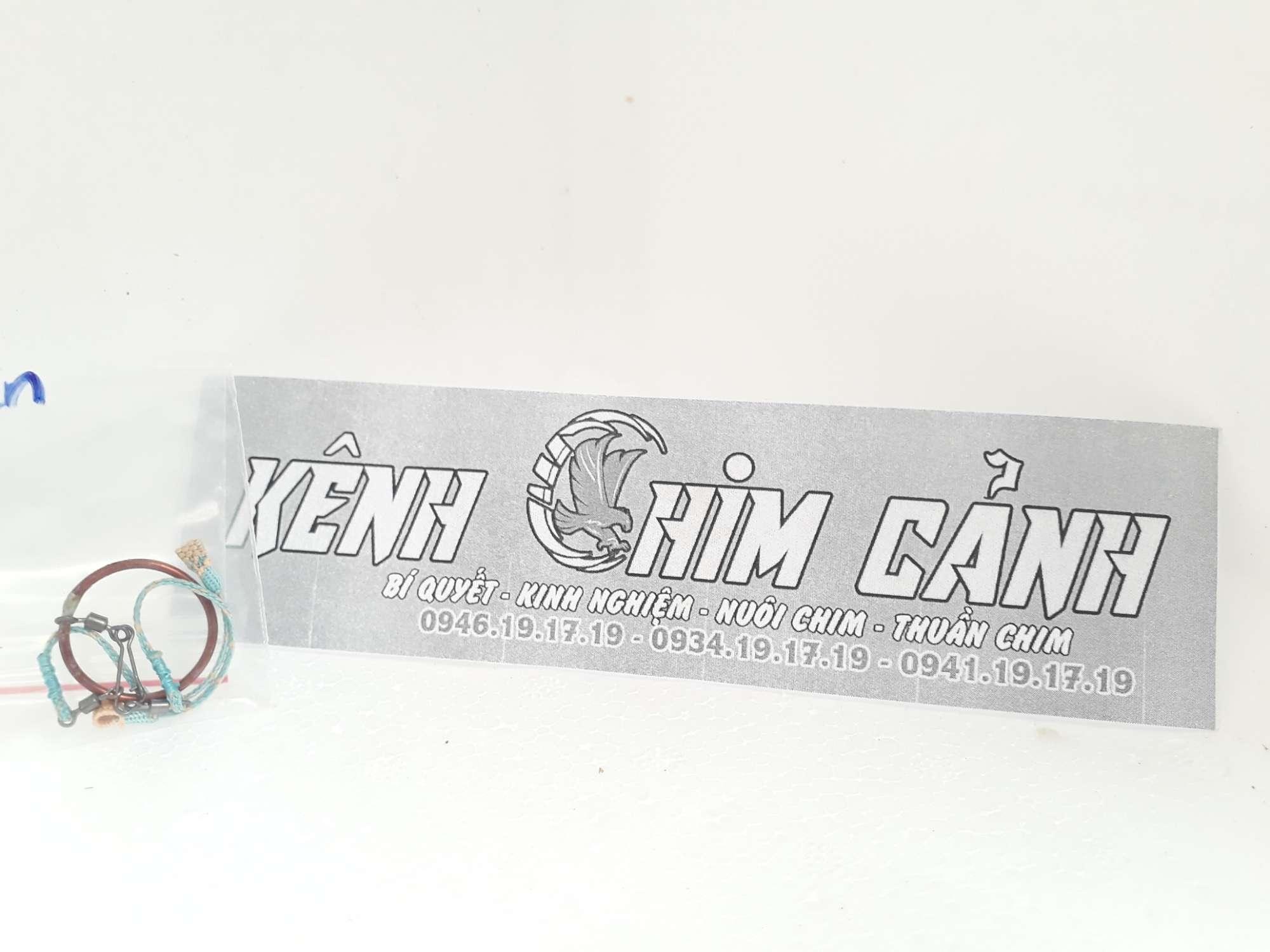 dây xích chân thuần chim khuyên
