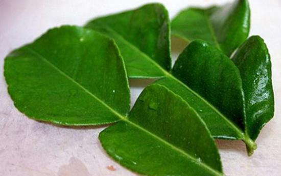 Lá chúc Bảy Núi An Giang - CHỈ NHẬN ĐƠN HÀNG THANH TOÁN TRƯỚC - Mua lá chúc (lá chanh thái) trồng tại vườn nhà (100GR)