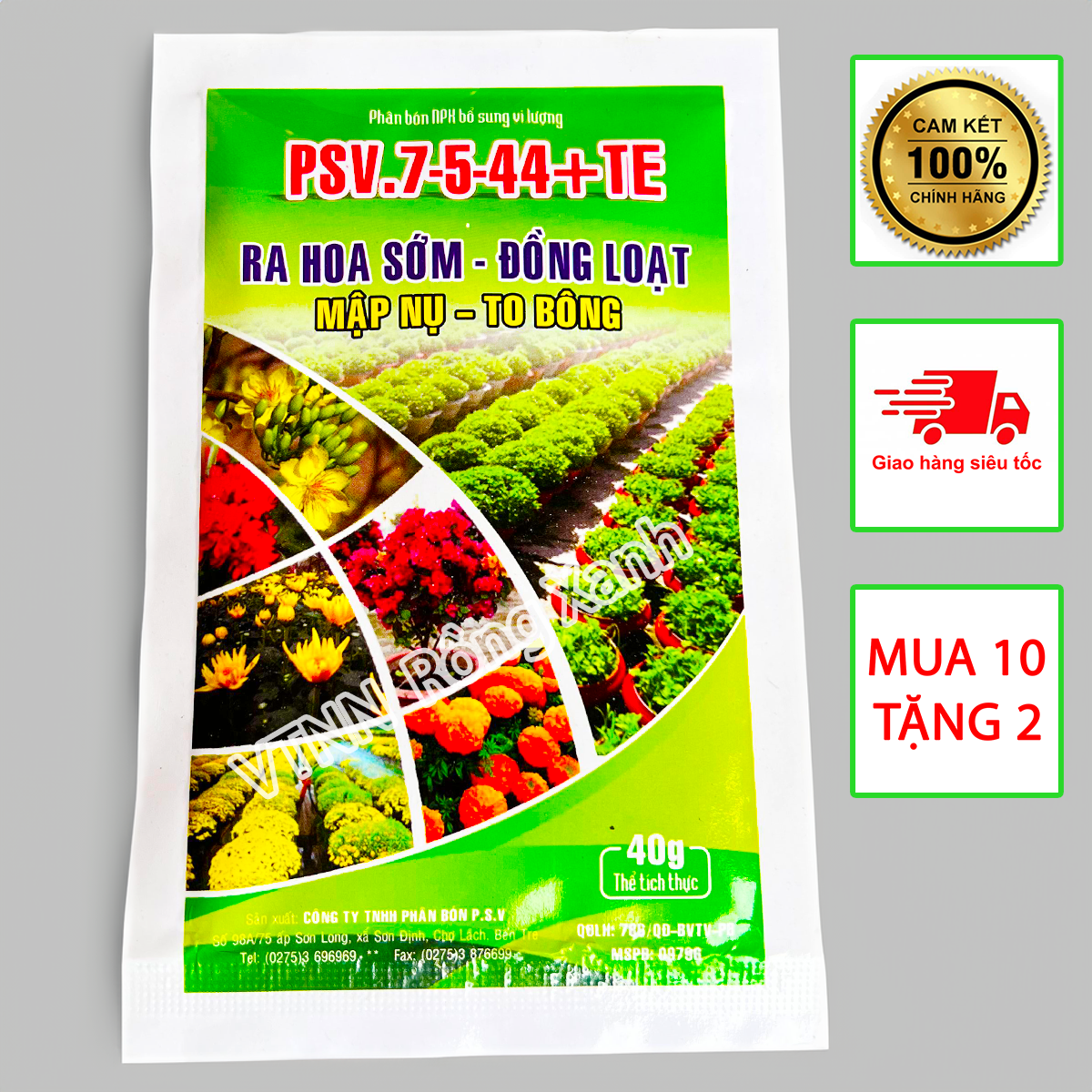 Kích ra hoa tạo mầm hoa to bông mập nụ