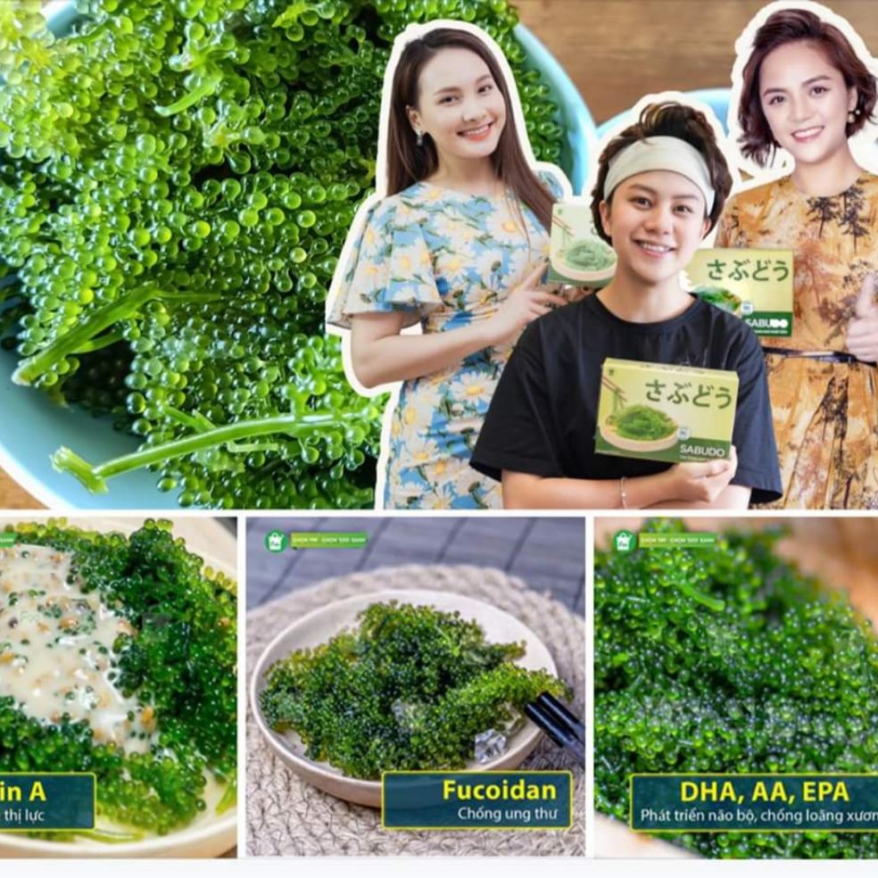 rong nho tách nước sabudo hộp 4 gói, tặng kèm 4 gói sốt mè rang