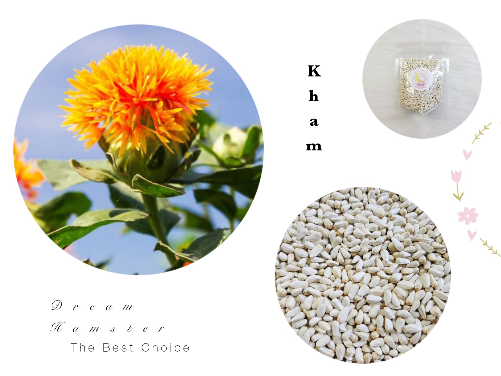 Hạt kham cho Hamster