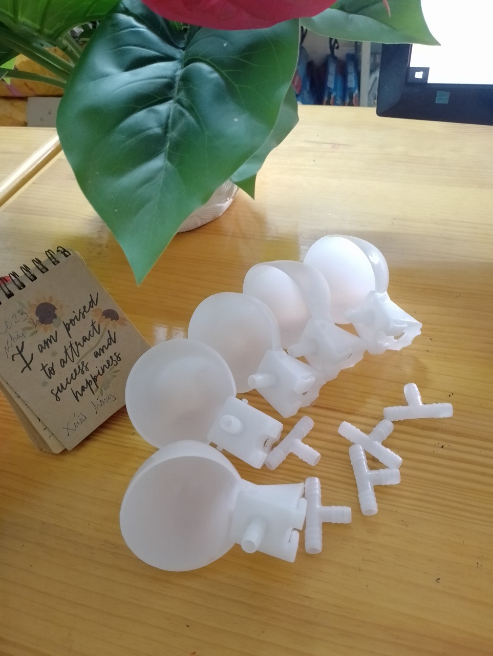 Máng uống trắng tự động cho chim,cút,gà kèm T