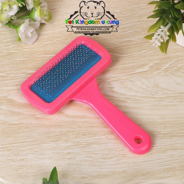 {HOT} Lược chải lông cho pet