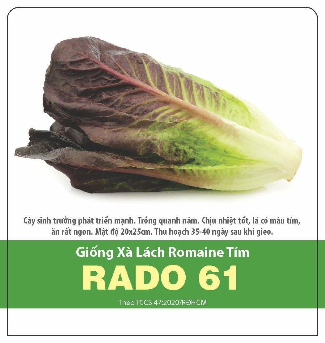 Hạt Giống Xà Lách Romaine Đỏ (2gr)