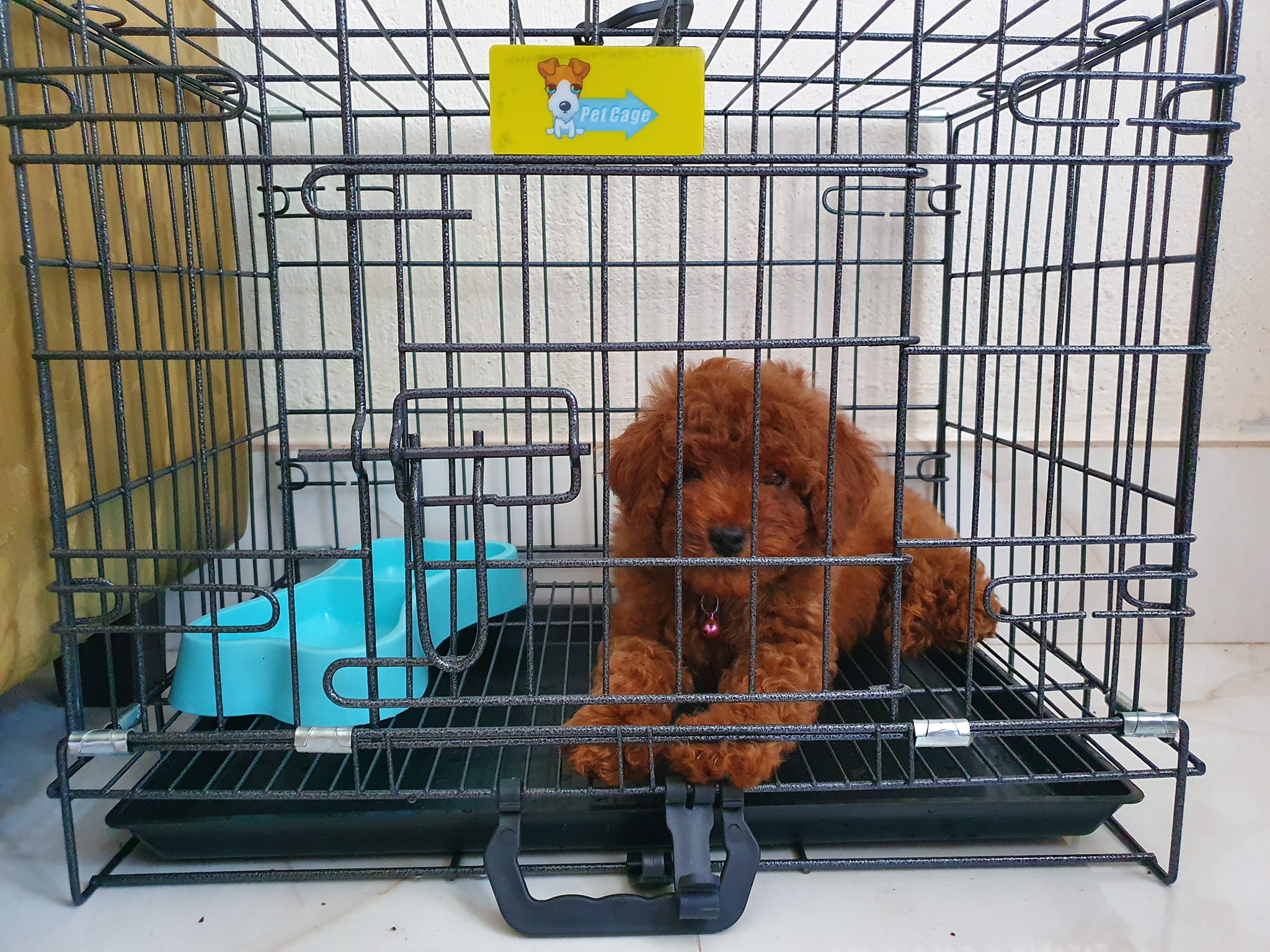 Chuồng Gấp Gọn Cho Chó Mèo, Lồng Xếp Sơn Tĩnh Điện NAN CỰC DÀY VÂN ĐÁ Tặng Kèm Khay Vệ Sinh ĐỦ SIZE