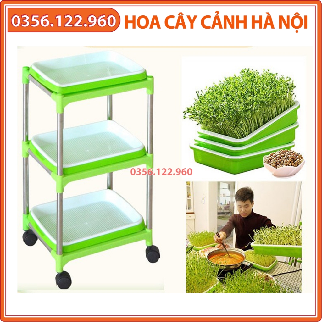 Bộ kit Khay trồng rau mầm thủy canh chuyên dụng - 3Khay, Giá đỡ 3 tầng, Vòi xịt, Hạt giống
