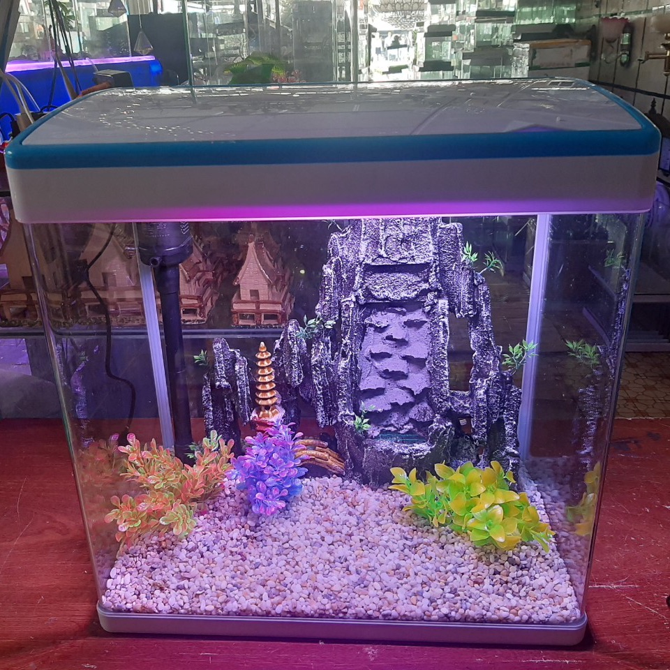 [FreeshipMAX] Côm sờ bô bể cá dài 46 cm rộng 28cm cao 48cm đầy đủ cả lọc và đèn