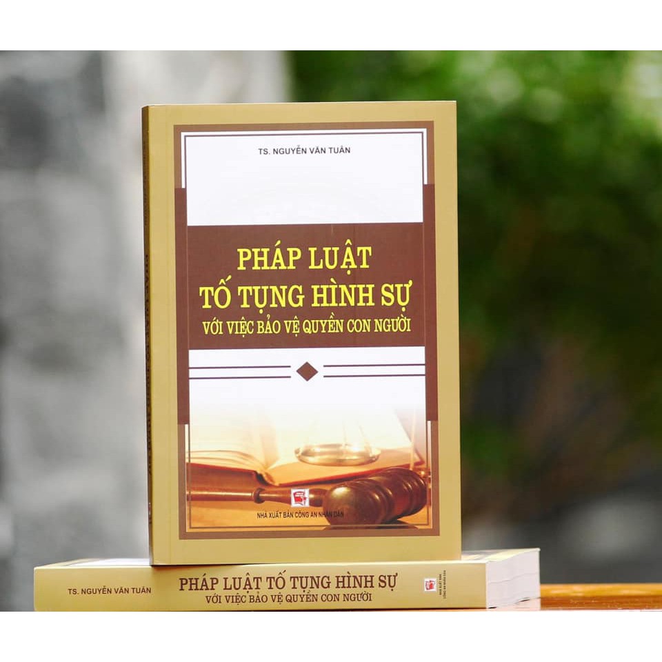 Pháp luật tố tụng hình sự với việc bảo vệ quyền con người - NXB