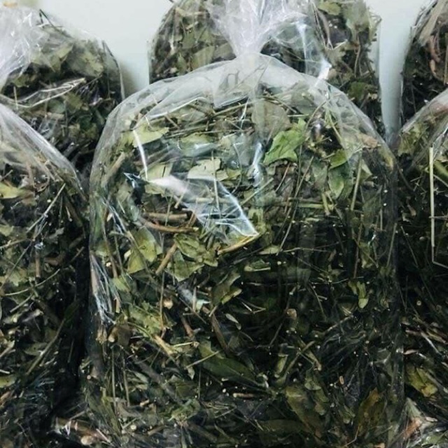 2 Kg Lá Chè Vằng Sẻ Phơi Khô Nguyên Chất