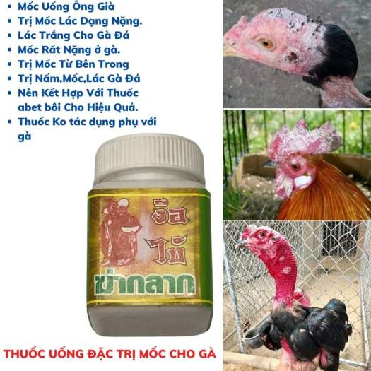 Vantruong - trị nấm gà, mốc gà chọi, thuốc lác gà đá, dạng uống lọ 10viên madein thailand