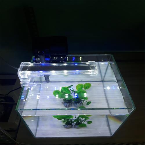 Đèn led kẹp Xilong D10 dành cho bể cá cảnh