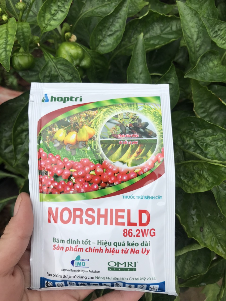 Đồng đỏ Norshield 86.2 WG gói 50 gr - Thuốc trừ bệnh nấm, khuẩn cho cây trồng