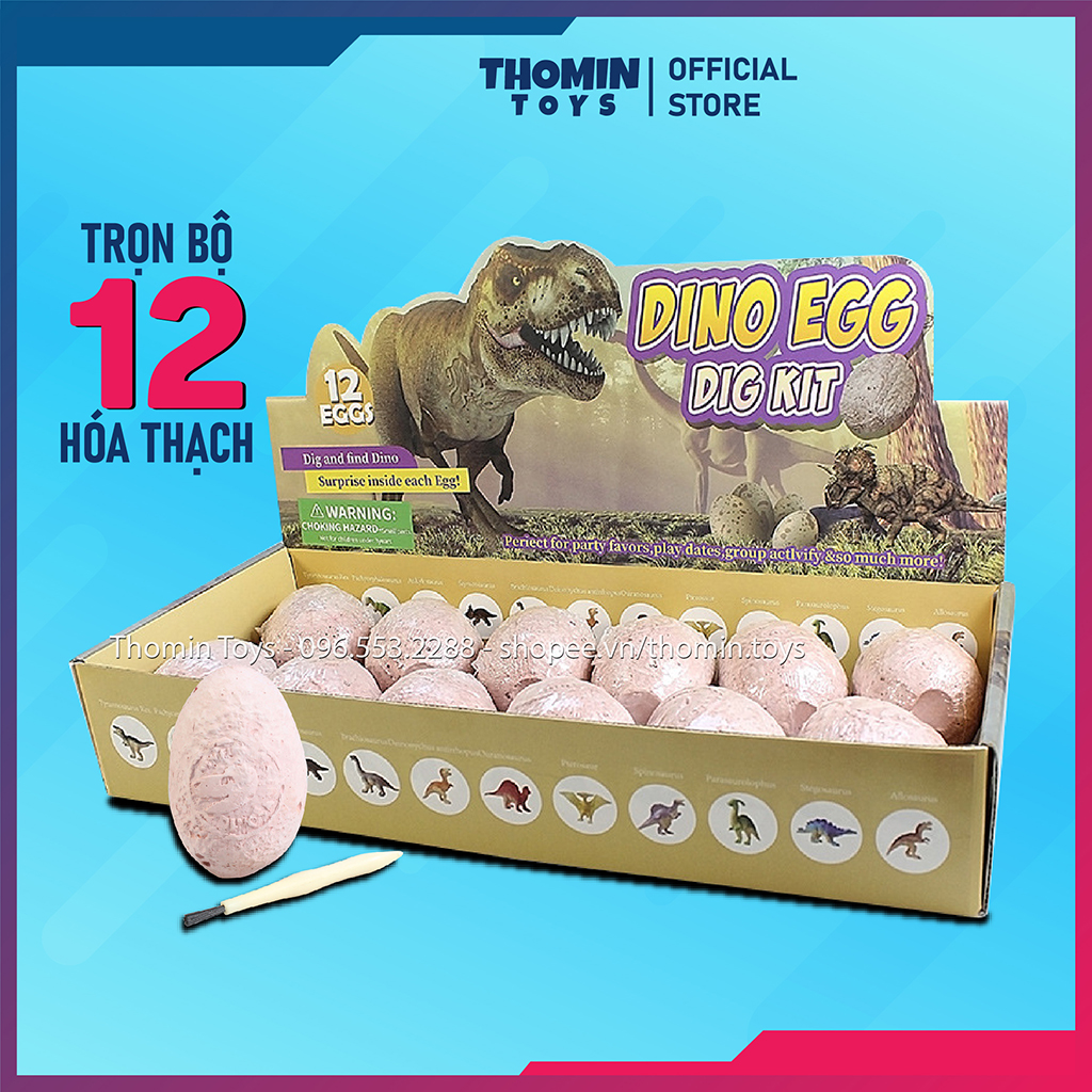 Đồ chơi khảo cổ Hóa thạch Trứng Khủng long Bộ 12 quả thạch cao cho bé nhập vai Đào Khủng long hóa thạch