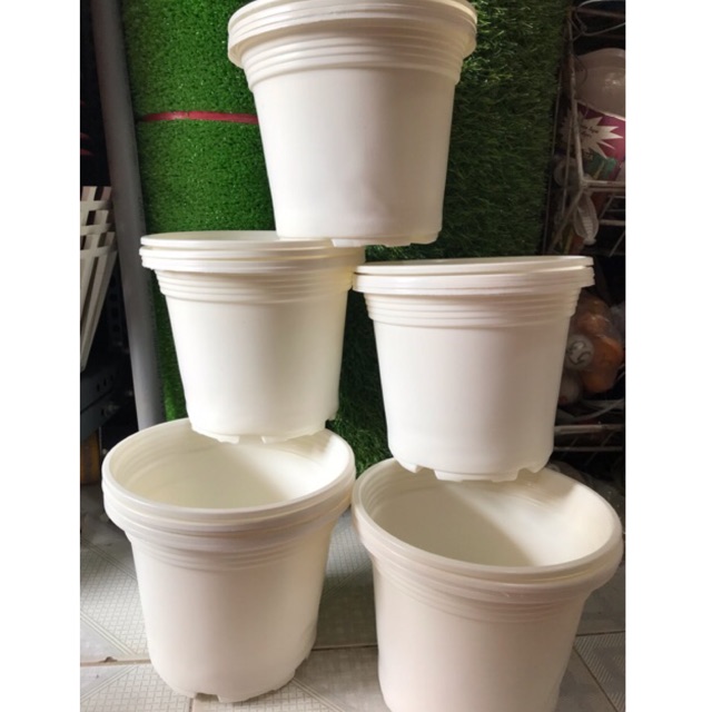 Combo 50 Chậu Nhựa Trồng Cây 19*14