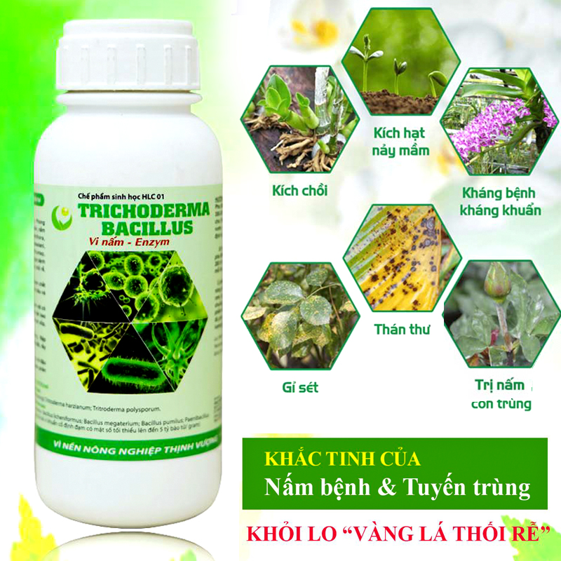 Chế phẩm sinh học trichoderma bacillus tiêu diệt các loại nấm hại 500ml-76112