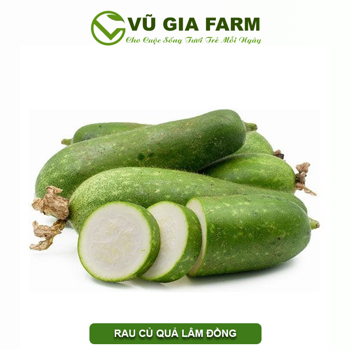 Bí Xanh Đức Trọng – Lâm Đồng ( 500G/1KG )