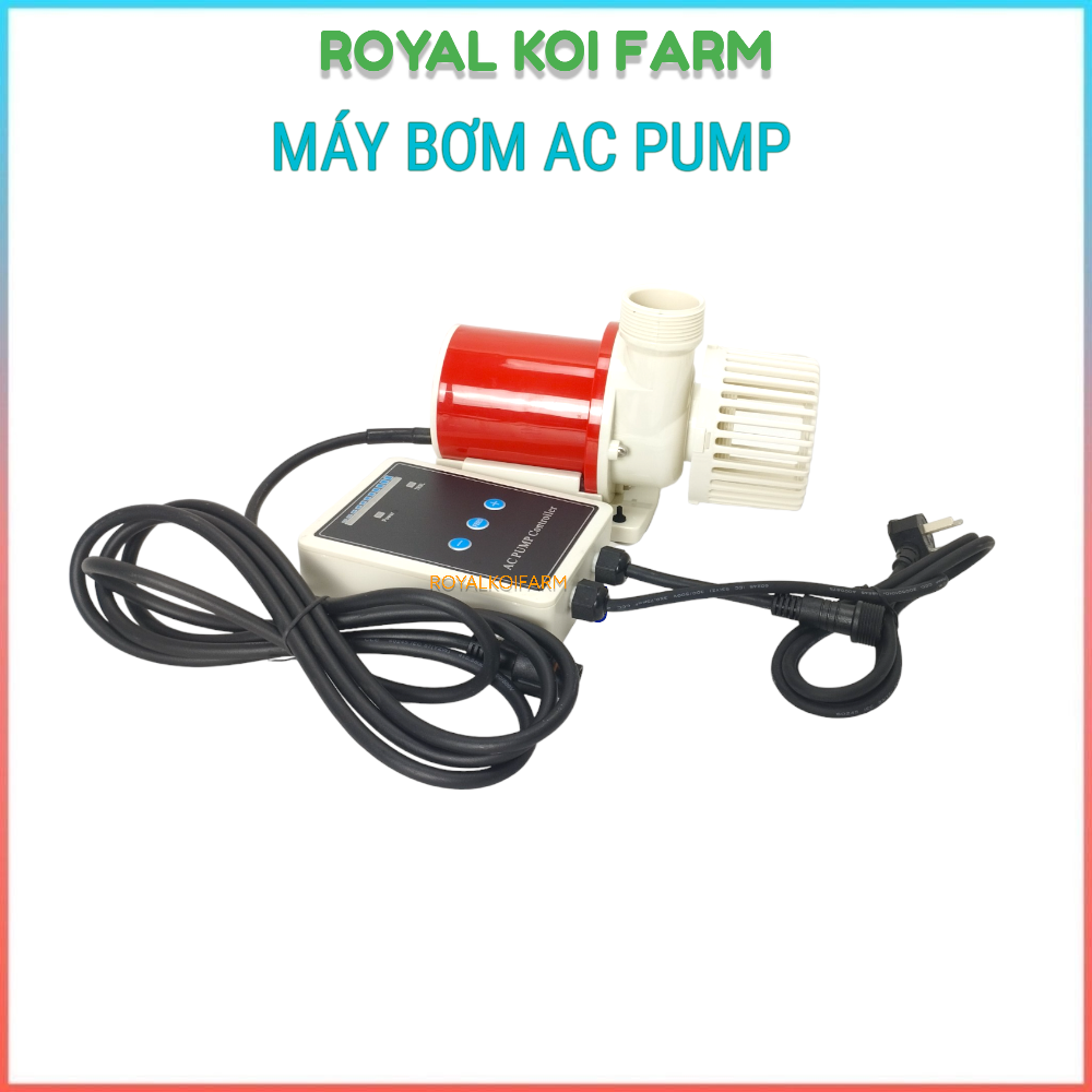 Bơm AC PUMP 9000, 12000, 15000, 25000 Máy Bơm Hồ Cá Koi