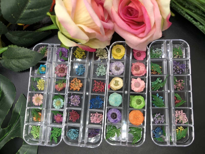 HOA KHÔ TRANG TRÍ MÓNG NHIỀU MẪU 0747