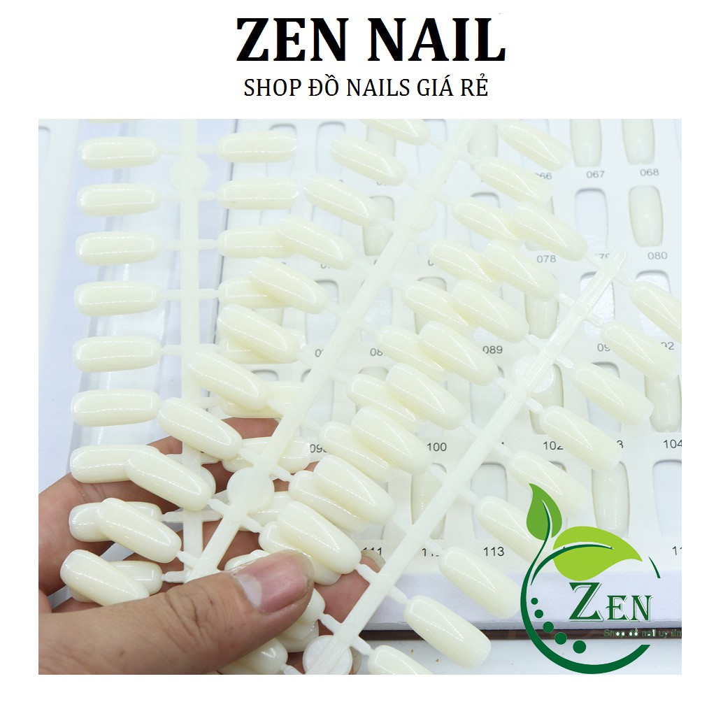 Móng gắn sổ, Móng gài bảng mẫu trưng bày nails
