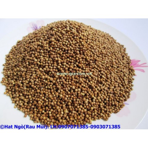 Hạt Ngò Rí Sạch 500gram